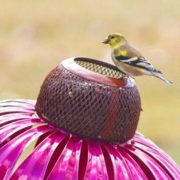 Nutribird Coneflower
