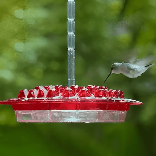 Feeder per Colibrì con Bacino Antincendio Integrato