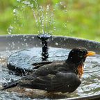 Fontana d'Acqua Solare per Giardino - Fontana Solare Ecologica per Esterni, Regalo per Amanti del Giardino, Fontana da Giardino