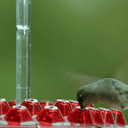Feeder per Colibrì con Bacino Antincendio Integrato