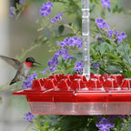 Feeder per Colibrì con Bacino Antincendio Integrato