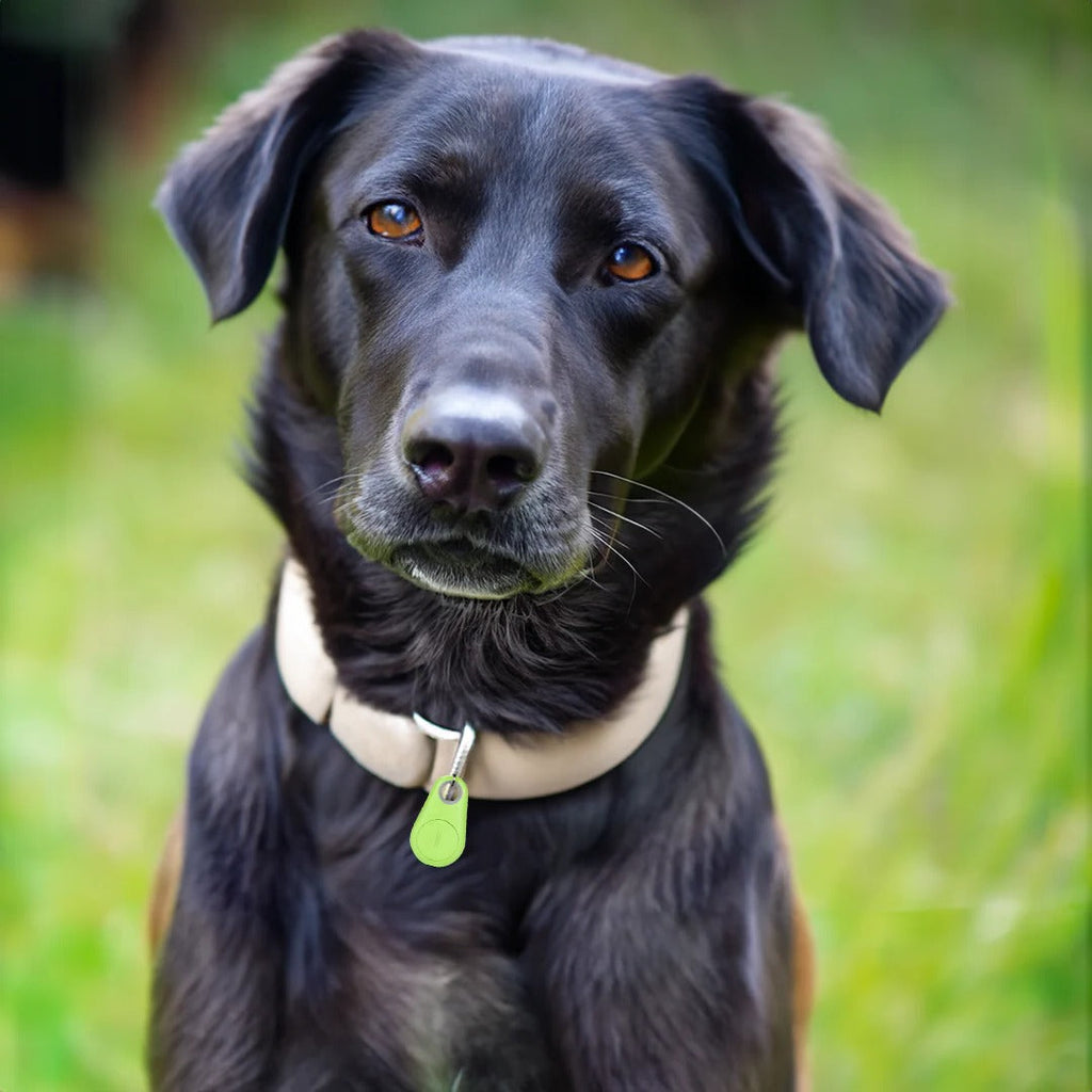 Tracker GPS Waterproof per Animali Domestici