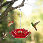 Mangiatore di Colibrì a Prova di Formiche da Appendere all'Aperto