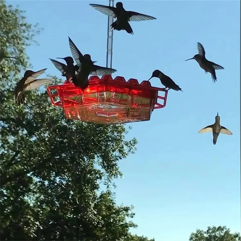 Mangiatore di Colibrì a Prova di Formiche da Appendere all'Aperto
