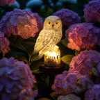 Lumora – Luce da Giardino a Forma di Gufo Solare