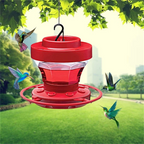 Nutrienti per Colibrì a Prova di Api con Perch