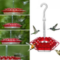 Bevitore per Colibrì a Prova di Formiche con 30 Porte Resistenti alle Api