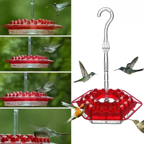 Bevitore per Colibrì a Prova di Formiche con 30 Porte Resistenti alle Api