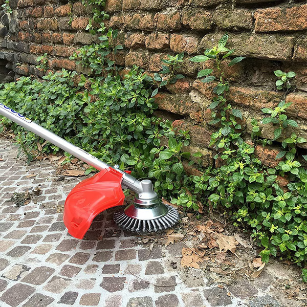 Spazzola e Tagliasiepi in Acciaio al Carbonio