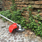 Spazzola e Tagliasiepi in Acciaio al Carbonio