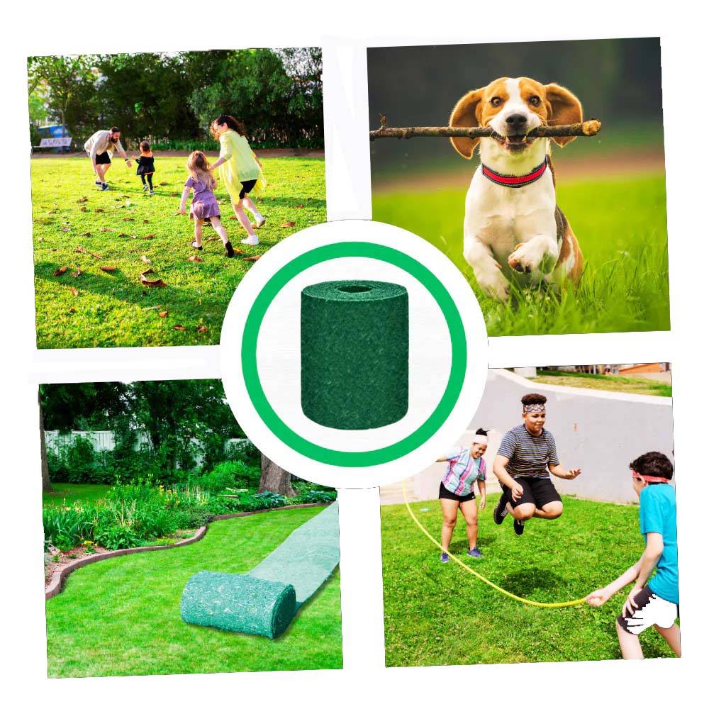 Tappeto di Semi di Erba Verde Quick Fix