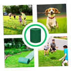 Tappeto di Semi di Erba Verde Quick Fix