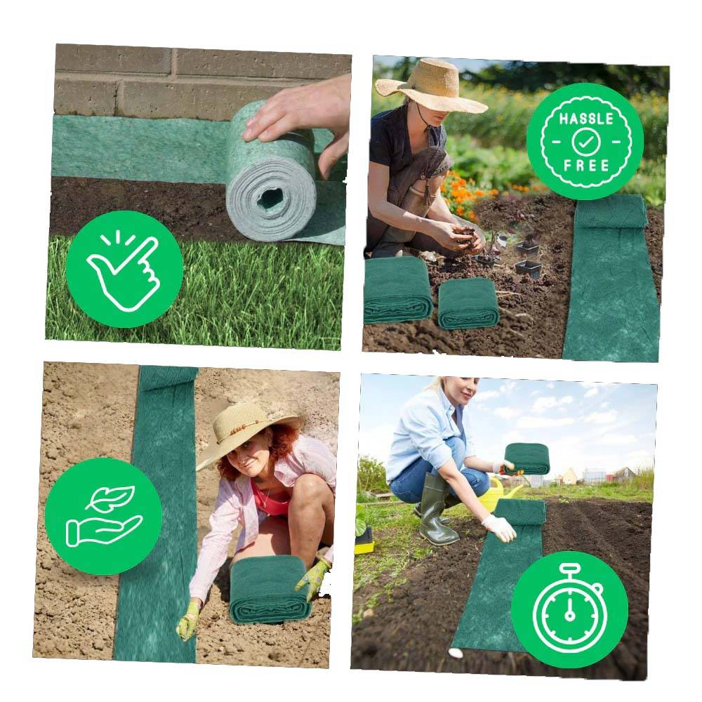 Tappeto di Semi di Erba Verde Quick Fix